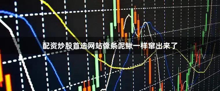 配资炒股首选网站像条泥鳅一样窜出来了
