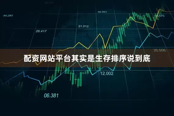 配资网站平台其实是生存排序说到底