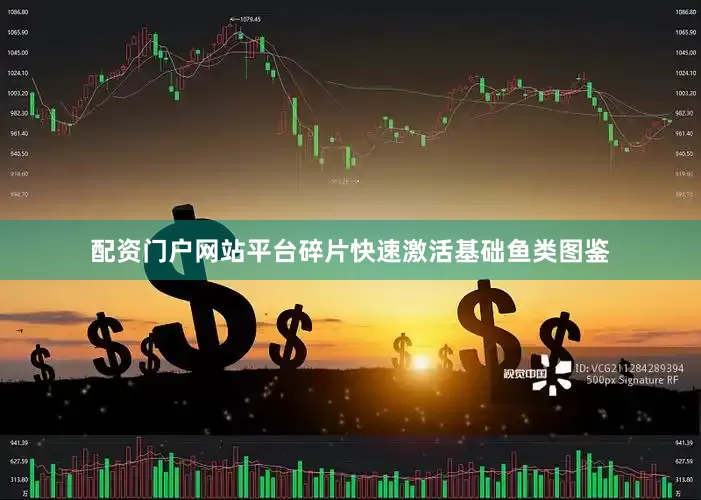 配资门户网站平台碎片快速激活基础鱼类图鉴